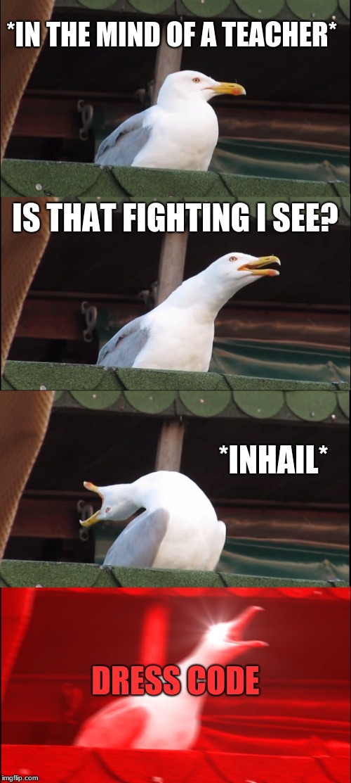 Inhaling Seagull | *IN THE MIND OF A TEACHER*; IS THAT FIGHTING I SEE? *INHAIL*; DRESS CODE | image tagged in memes,inhaling seagull | made w/ Imgflip meme maker