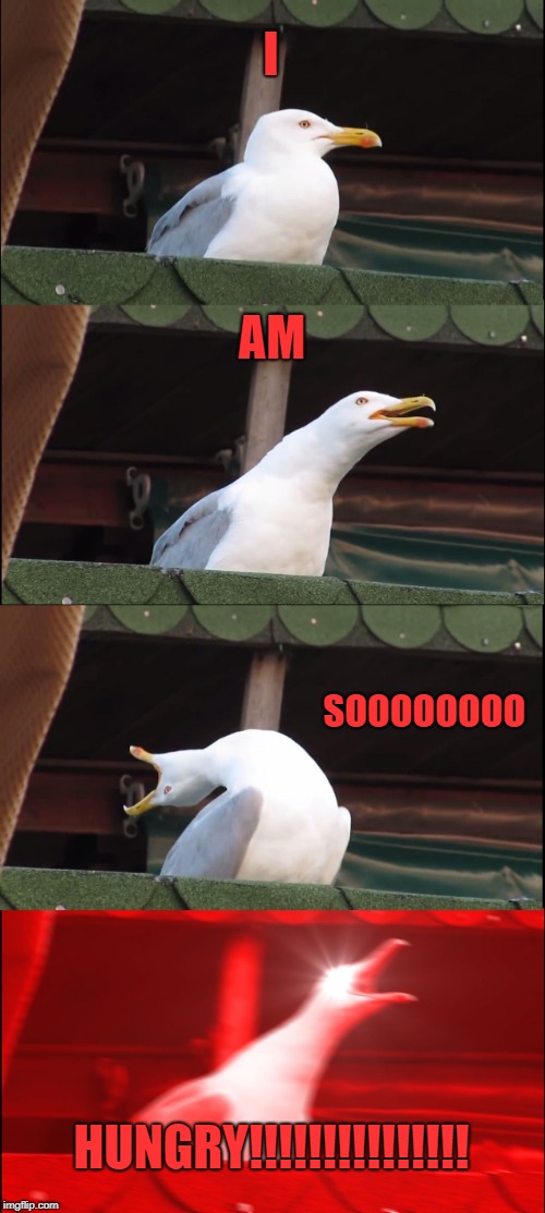 Inhaling Seagull Meme | I; AM; SOOOOOOOO; HUNGRY!!!!!!!!!!!!!!! | image tagged in memes,inhaling seagull | made w/ Imgflip meme maker