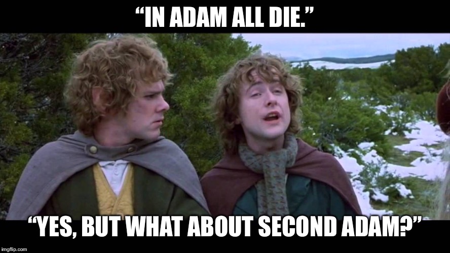 Second Breakfast | “IN ADAM ALL DIE.”; “YES, BUT WHAT ABOUT SECOND ADAM?” | image tagged in second breakfast | made w/ Imgflip meme maker