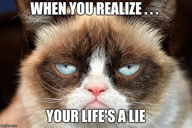 Grumpy Cat Not Amused | WHEN YOU REALIZE . . . YOUR LIFE'S A LIE | image tagged in memes,grumpy cat not amused,grumpy cat | made w/ Imgflip meme maker