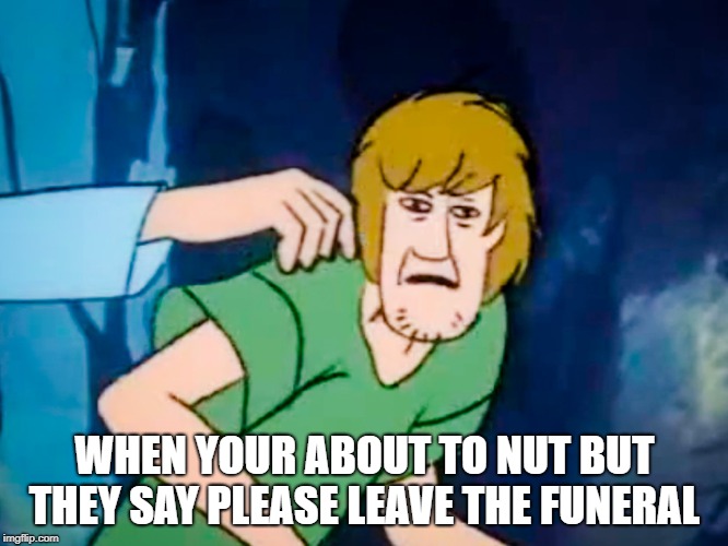 Shaggy meme | WHEN YOUR ABOUT TO NUT BUT THEY SAY PLEASE LEAVE THE FUNERAL | image tagged in shaggy meme | made w/ Imgflip meme maker