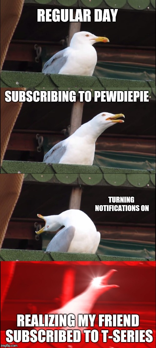 Inhaling Seagull Meme | REGULAR DAY; SUBSCRIBING TO PEWDIEPIE; TURNING NOTIFICATIONS ON; REALIZING MY FRIEND SUBSCRIBED TO T-SERIES | image tagged in memes,inhaling seagull | made w/ Imgflip meme maker
