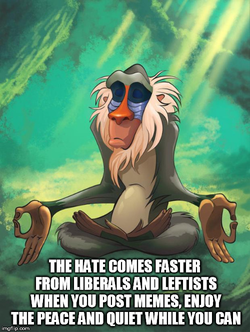 Rafiki wisdom | THE HATE COMES FASTER FROM LIBERALS AND LEFTISTS WHEN YOU POST MEMES, ENJOY THE PEACE AND QUIET WHILE YOU CAN | image tagged in rafiki wisdom | made w/ Imgflip meme maker