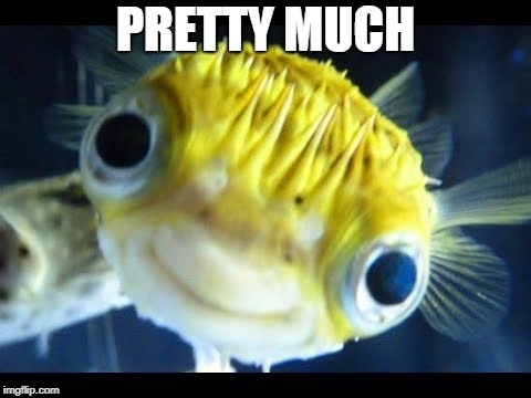 Fish | PRETTY MUCH | image tagged in fish | made w/ Imgflip meme maker