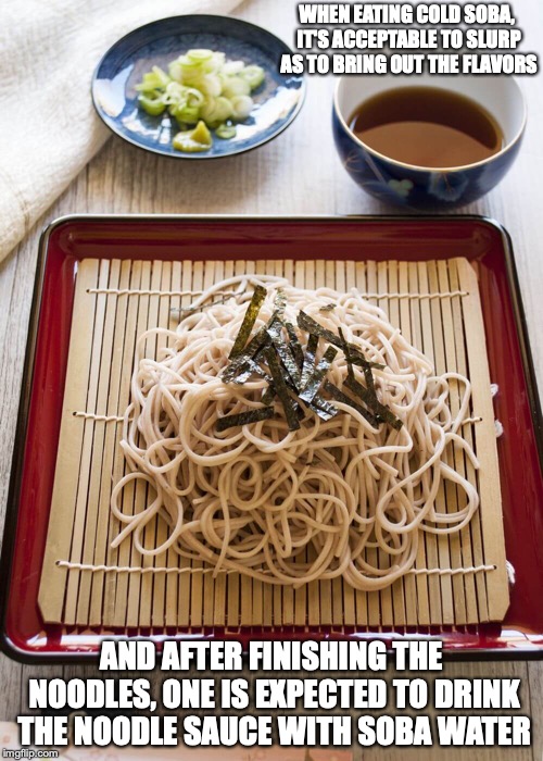 Zaru Soba | WHEN EATING COLD SOBA, IT'S ACCEPTABLE TO SLURP AS TO BRING OUT THE FLAVORS; AND AFTER FINISHING THE NOODLES, ONE IS EXPECTED TO DRINK THE NOODLE SAUCE WITH SOBA WATER | image tagged in soba,noodles,japan,food,memes | made w/ Imgflip meme maker