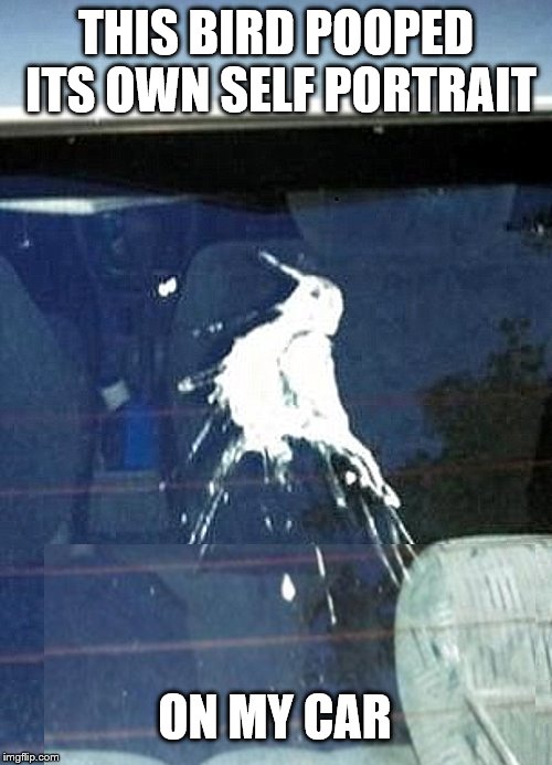 Mad Skills Bird Weekend | THIS BIRD POOPED ITS OWN SELF PORTRAIT; ON MY CAR | image tagged in poop,picture,skill,funny picture,bird weekend,claybourne | made w/ Imgflip meme maker