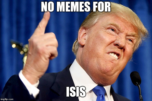 Donald Trump | NO MEMES FOR; ISIS | image tagged in donald trump | made w/ Imgflip meme maker