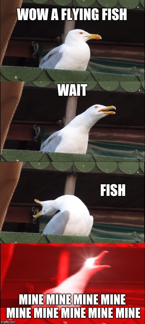 Inhaling Seagull Meme | WOW A FLYING FISH; WAIT; FISH; MINE MINE MINE MINE MINE MINE MINE MINE MINE | image tagged in memes,inhaling seagull | made w/ Imgflip meme maker