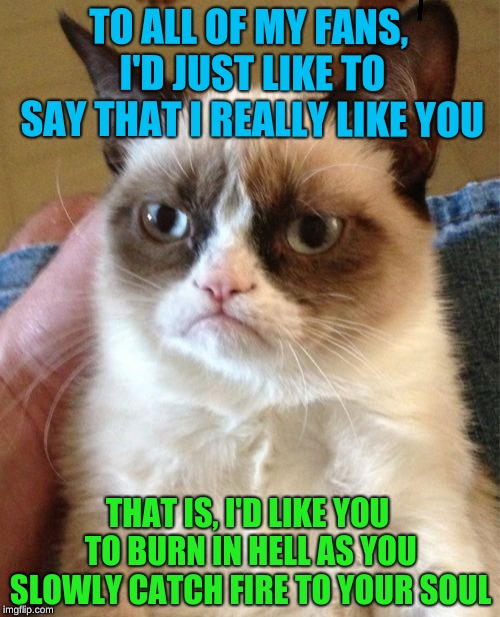 Grumpy Cat | TO ALL OF MY FANS, I'D JUST LIKE TO SAY THAT I REALLY LIKE YOU; THAT IS, I'D LIKE YOU TO BURN IN HELL AS YOU SLOWLY CATCH FIRE TO YOUR SOUL | image tagged in memes,grumpy cat,cats | made w/ Imgflip meme maker