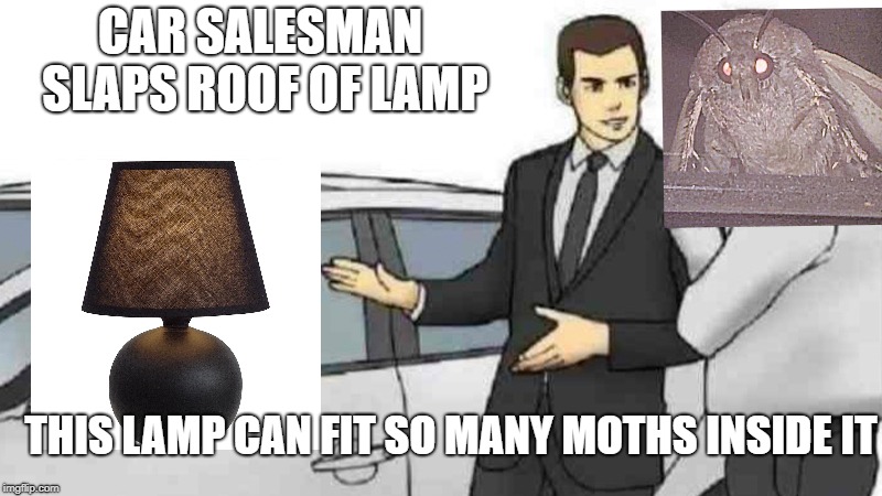 Car Salesman Slaps Roof Of Car Meme | CAR SALESMAN SLAPS ROOF OF LAMP; THIS LAMP CAN FIT SO MANY MOTHS INSIDE IT | image tagged in memes,car salesman slaps roof of car | made w/ Imgflip meme maker