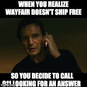 Liam Neeson Taken | WHEN YOU REALIZE WAYFAIR DOESN'T SHIP FREE; SO YOU DECIDE TO CALL 911 LOOKING FOR AN ANSWER | image tagged in memes,liam neeson taken | made w/ Imgflip meme maker