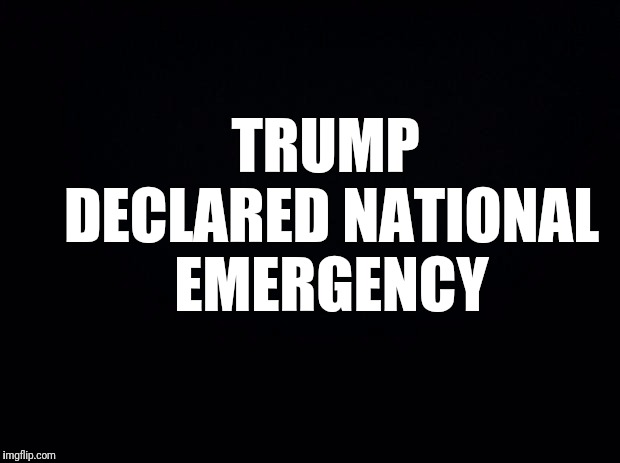 He is the emergency and the emergency is him. | TRUMP DECLARED NATIONAL EMERGENCY | image tagged in state of the union,emergency,secure the border,dump trump,i see what you did there,fake news | made w/ Imgflip meme maker
