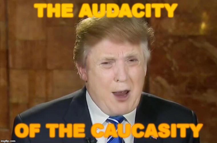 The Audacity of The Spray Tan | THE AUDACITY; OF THE CAUCASITY | image tagged in donald trump | made w/ Imgflip meme maker