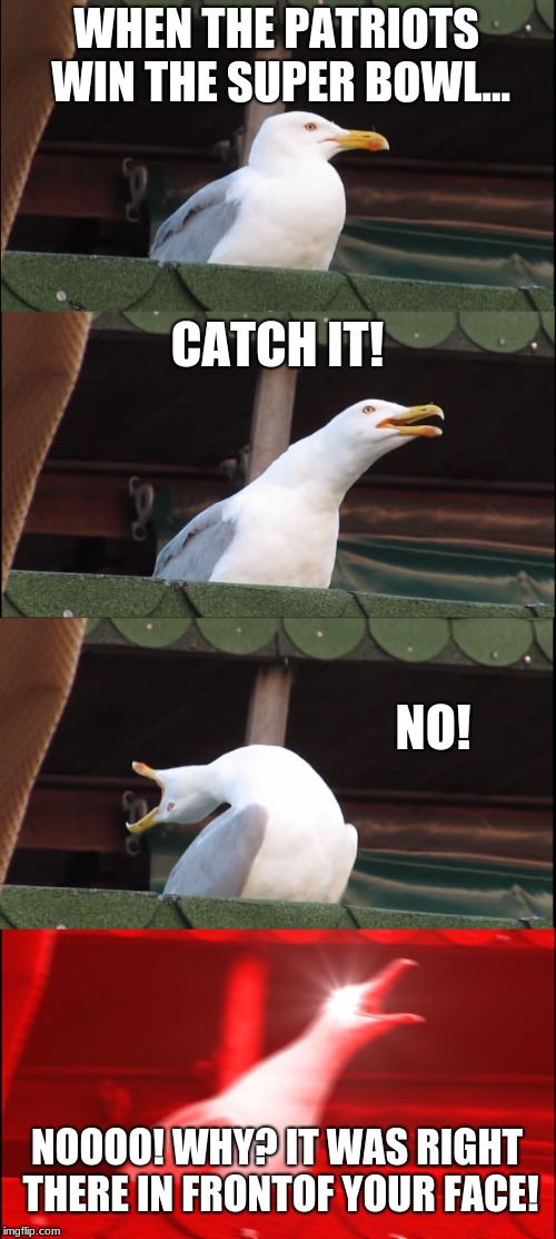 Inhaling Seagull | WHEN THE PATRIOTS WIN THE SUPER BOWL... CATCH IT! NO! NOOOO! WHY? IT WAS RIGHT THERE IN FRONTOF YOUR FACE! | image tagged in memes,inhaling seagull | made w/ Imgflip meme maker