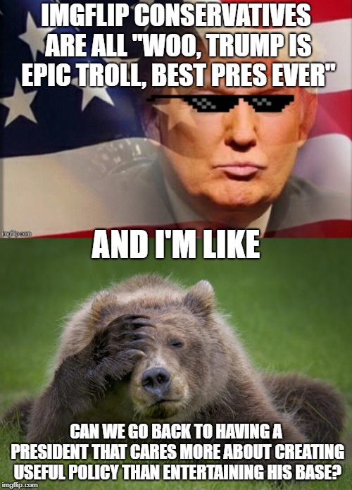 Please? | IMGFLIP CONSERVATIVES ARE ALL "WOO, TRUMP IS EPIC TROLL, BEST PRES EVER"; AND I'M LIKE; CAN WE GO BACK TO HAVING A PRESIDENT THAT CARES MORE ABOUT CREATING USEFUL POLICY THAN ENTERTAINING HIS BASE? | image tagged in maga,ugh,troll,do your job | made w/ Imgflip meme maker