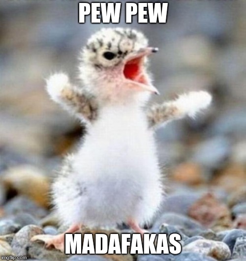 Early Bird!!! | PEW PEW; MADAFAKAS | image tagged in early bird | made w/ Imgflip meme maker