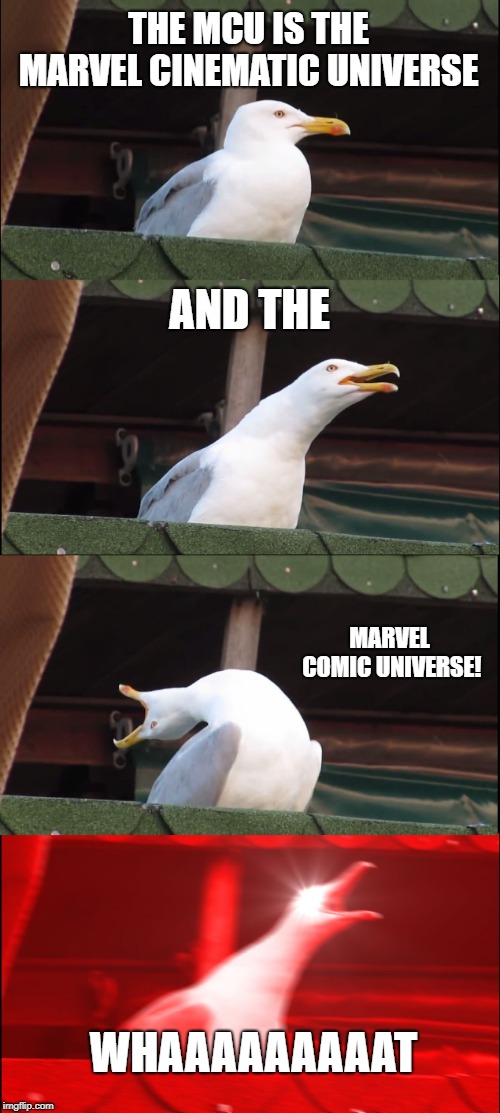 Inhaling Seagull | THE MCU IS THE MARVEL CINEMATIC UNIVERSE; AND THE; MARVEL COMIC UNIVERSE! WHAAAAAAAAAT | image tagged in memes,inhaling seagull | made w/ Imgflip meme maker