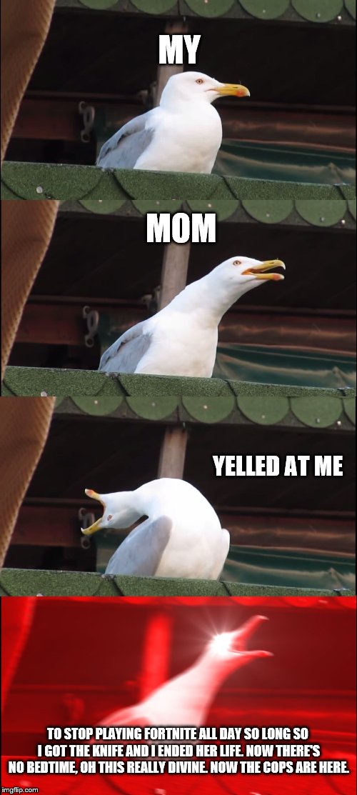Inhaling Seagull Meme | MY; MOM; YELLED AT ME; TO STOP PLAYING FORTNITE ALL DAY SO LONG SO I GOT THE KNIFE AND I ENDED HER LIFE. NOW THERE'S NO BEDTIME, OH THIS REALLY DIVINE. NOW THE COPS ARE HERE. | image tagged in memes,inhaling seagull | made w/ Imgflip meme maker