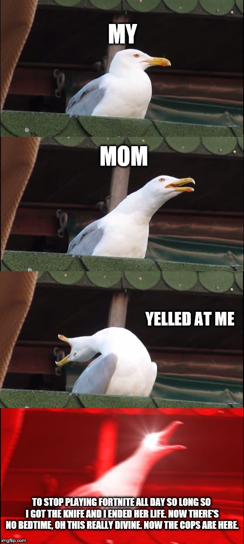 Inhaling Seagull | MY; MOM; YELLED AT ME; TO STOP PLAYING FORTNITE ALL DAY SO LONG SO I GOT THE KNIFE AND I ENDED HER LIFE. NOW THERE'S NO BEDTIME, OH THIS REALLY DIVINE. NOW THE COPS ARE HERE. | image tagged in memes,inhaling seagull | made w/ Imgflip meme maker