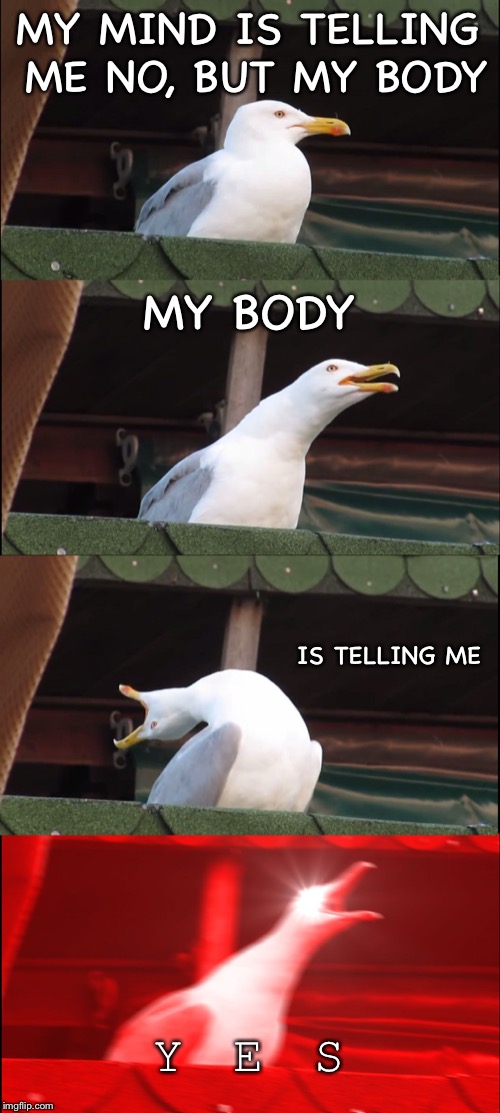 Inhaling Seagull | MY MIND IS TELLING ME NO, BUT MY BODY; MY BODY; IS TELLING ME; Y E S | image tagged in memes,inhaling seagull | made w/ Imgflip meme maker