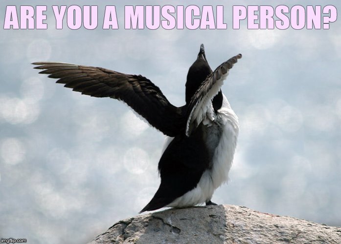 ARE YOU A MUSICAL PERSON? | made w/ Imgflip meme maker