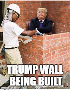 This time we need a Presidential shutdown. | TRUMP WALL BEING BUILT | image tagged in walls closing in on trump,impeach trump,trump resigns,dump trump,lock him up | made w/ Imgflip meme maker