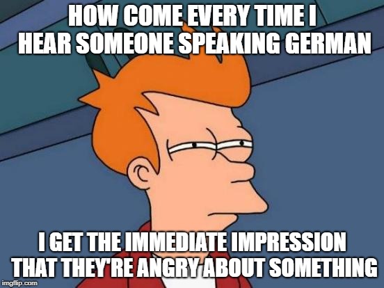 DER SPEEEEEEEEGIEL!!! | HOW COME EVERY TIME I HEAR SOMEONE SPEAKING GERMAN; I GET THE IMMEDIATE IMPRESSION THAT THEY'RE ANGRY ABOUT SOMETHING | image tagged in memes,futurama fry,germany,german,angry | made w/ Imgflip meme maker