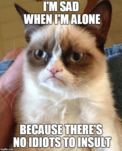 Grumpy Cat Meme | I'M SAD WHEN I'M ALONE; BECAUSE THERE'S NO IDIOTS TO INSULT | image tagged in memes,grumpy cat | made w/ Imgflip meme maker