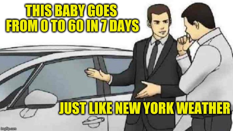 I can't remember the Groundhog ever being right | THIS BABY GOES FROM 0 TO 60 IN 7 DAYS; JUST LIKE NEW YORK WEATHER | image tagged in memes,car salesman slaps roof of car,weatherman,nuts,science,climate change | made w/ Imgflip meme maker