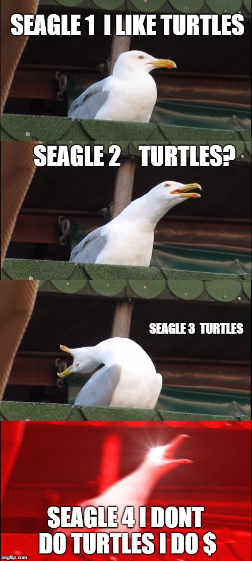 just had to do it btw if u like what im doing PLEASE COMMENT | SEAGLE 1  I LIKE TURTLES; SEAGLE 2    TURTLES? SEAGLE 3  TURTLES; SEAGLE 4 I DONT DO TURTLES I DO $ | image tagged in memes,inhaling seagull | made w/ Imgflip meme maker