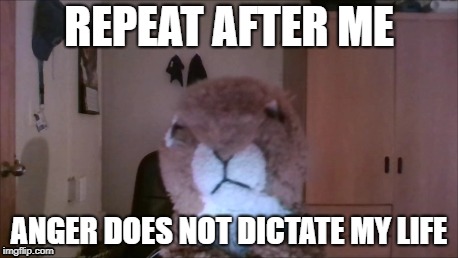 Caesar the Squirrel - Anger Does Not Dictate My Life | REPEAT AFTER ME; ANGER DOES NOT DICTATE MY LIFE | image tagged in caesar the squirrel,caesar,squirrel,youtube,critic,comedy | made w/ Imgflip meme maker