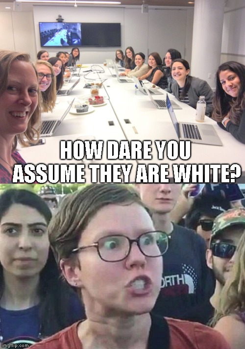 HOW DARE YOU ASSUME THEY ARE WHITE? | image tagged in triggered liberal | made w/ Imgflip meme maker