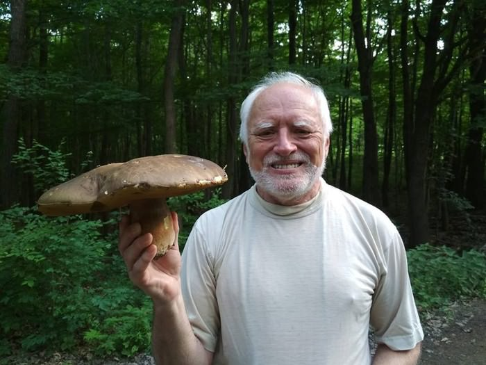 High Quality Hide The Pain Harold Holding A Mushroom Blank Meme Template