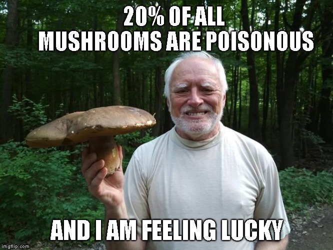 Eat Your Heart Out Mario. | 20% OF ALL MUSHROOMS ARE POISONOUS; AND I AM FEELING LUCKY | image tagged in hide the pain harold holding a mushroom | made w/ Imgflip meme maker