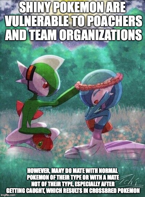 Gallade With Shiny Gardevoir | SHINY POKEMON ARE VULNERABLE TO POACHERS AND TEAM ORGANIZATIONS; HOWEVER, MANY DO MATE WITH NORMAL POKEMON OF THEIR TYPE OR WITH A MATE NOT OF THEIR TYPE, ESPECIALLY AFTER GETTING CAUGHT, WHICH RESULTS IN CROSSBRED POKEMON | image tagged in gallade,gardevoir,pokemon,memes | made w/ Imgflip meme maker