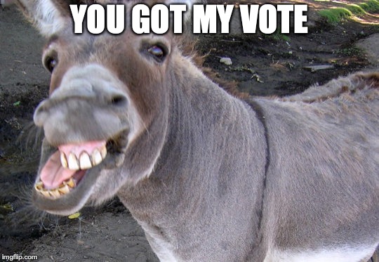 YOU GOT MY VOTE | made w/ Imgflip meme maker