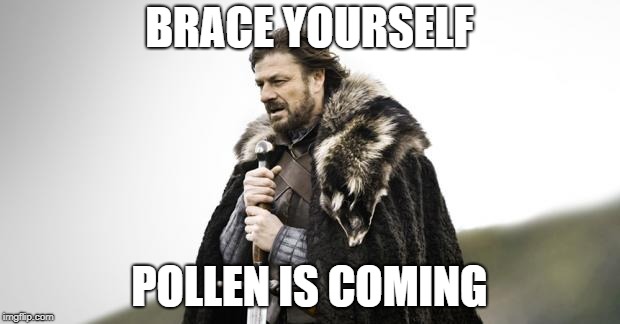 Winter Is Coming | BRACE YOURSELF; POLLEN IS COMING | image tagged in winter is coming,raleigh | made w/ Imgflip meme maker
