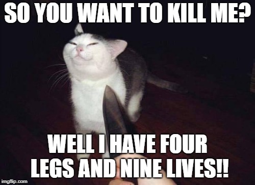 so you want to kill me? | SO YOU WANT TO KILL ME? WELL I HAVE FOUR LEGS AND NINE LIVES!! | image tagged in so you want to kill me | made w/ Imgflip meme maker