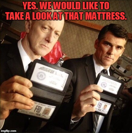 FBI | YES. WE WOULD LIKE TO TAKE A LOOK AT THAT MATTRESS. | image tagged in fbi | made w/ Imgflip meme maker