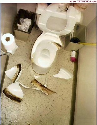 Broken toilet Blank Meme Template