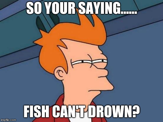 Futurama Fry Meme | SO YOUR SAYING...... FISH CAN'T DROWN? | image tagged in memes,futurama fry | made w/ Imgflip meme maker