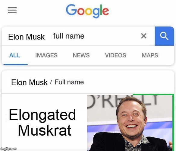 Full Name Google | Elon Musk; Elon Musk; Elongated Muskrat | image tagged in full name google | made w/ Imgflip meme maker