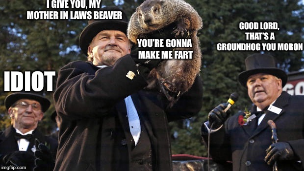Groundhog Day | I GIVE YOU, MY MOTHER IN LAWS BEAVER; GOOD LORD, THAT’S A GROUNDHOG YOU MORON; YOU’RE GONNA MAKE ME FART; IDIOT | image tagged in groundhog day | made w/ Imgflip meme maker