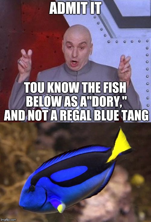 Admit it. | ADMIT IT; TOU KNOW THE FISH BELOW AS A"DORY," AND NOT A REGAL BLUE TANG | image tagged in memes,dr evil laser,dory,funny,fish,memelord344 | made w/ Imgflip meme maker