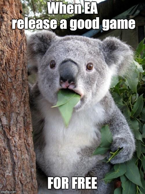 Surprised Koala | When EA release a good game; FOR FREE | image tagged in memes,surprised koala | made w/ Imgflip meme maker