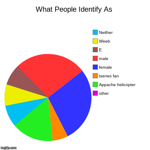 What People Identify As | other, Appache helicopter, tseries fan, female, male, E, Weeb, Neither | image tagged in funny,pie charts | made w/ Imgflip chart maker