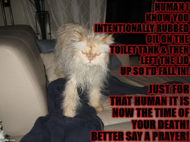HUMAN I KNOW YOU INTENTIONALLY RUBBED OIL ON THE TOILET TANK & THEN LEFT THE LID UP SO I'D FALL IN! JUST FOR THAT HUMAN IT IS NOW THE TIME OF YOUR DEATH! BETTER SAY A PRAYER! | image tagged in time to die | made w/ Imgflip meme maker