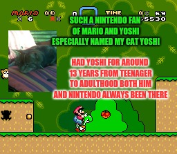 Yoshi and mario | SUCH A NINTENDO FAN OF MARIO AND YOSHI ESPECIALLY NAMED MY CAT YOSHI; HAD YOSHI FOR AROUND 13 YEARS FROM TEENAGER TO ADULTHOOD BOTH HIM AND NINTENDO ALWAYS BEEN THERE | image tagged in yoshi and mario | made w/ Imgflip meme maker