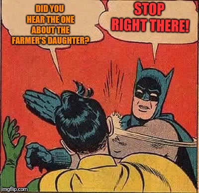 Batman Slapping Robin Meme | STOP RIGHT THERE! DID YOU HEAR THE ONE ABOUT THE FARMER'S DAUGHTER? | image tagged in memes,batman slapping robin | made w/ Imgflip meme maker