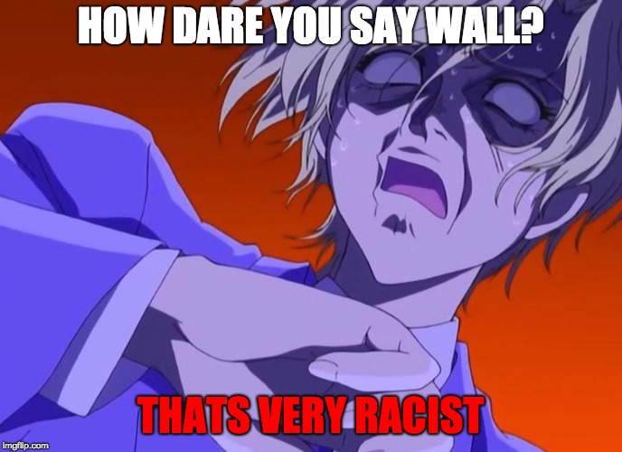HOW DARE YOU - ANIME MEME | HOW DARE YOU SAY WALL? THATS VERY RACIST | image tagged in how dare you - anime meme | made w/ Imgflip meme maker